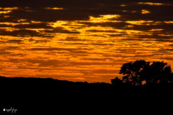Klaserie Sunset
