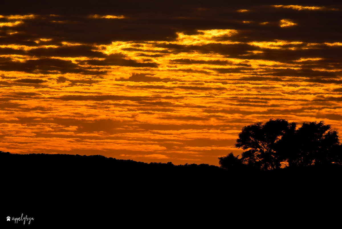 Klaserie Sunset