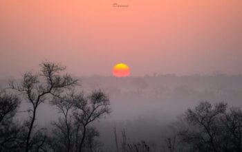 Dawn’s Embrace at Djuma