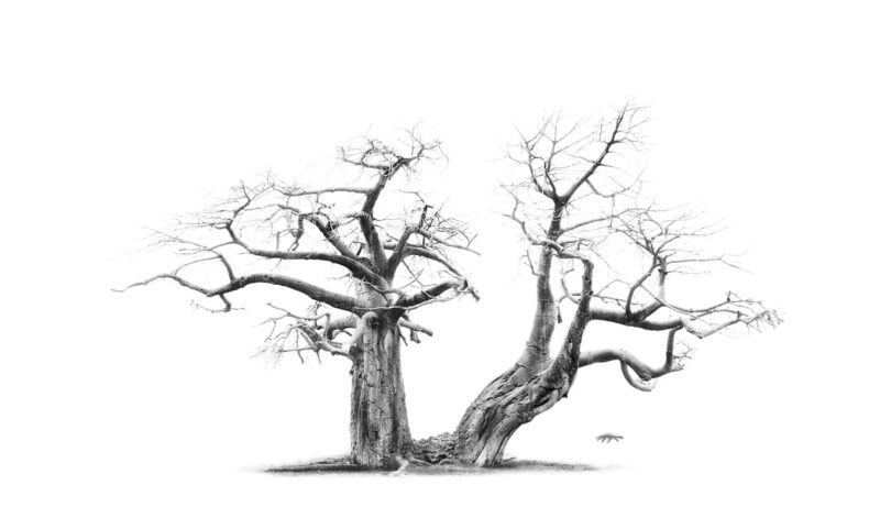 Nature's Cycle